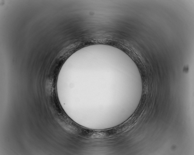 X0000100360599200806060825