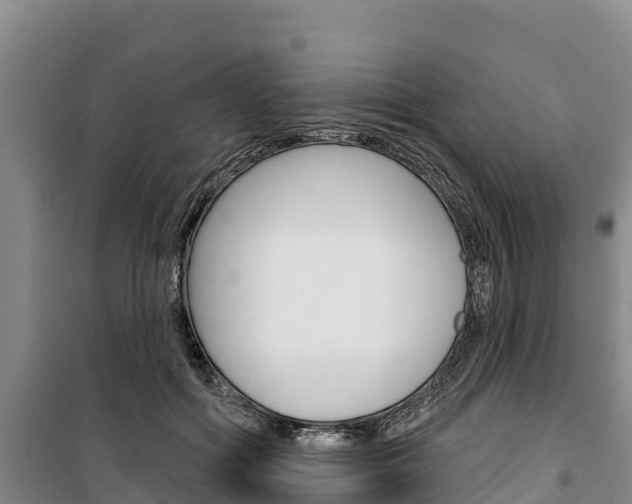 X0000100360602200806060825