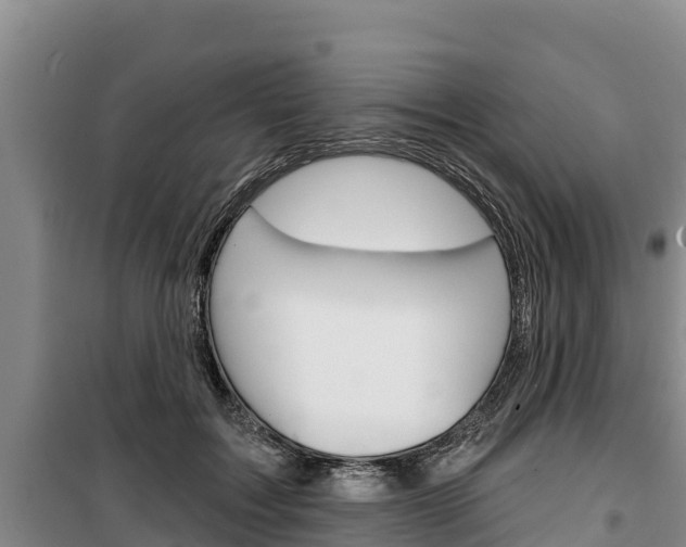 X0000100360603200806060825