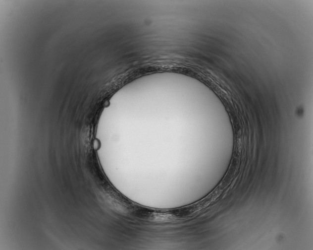 X0000100360605200806060825