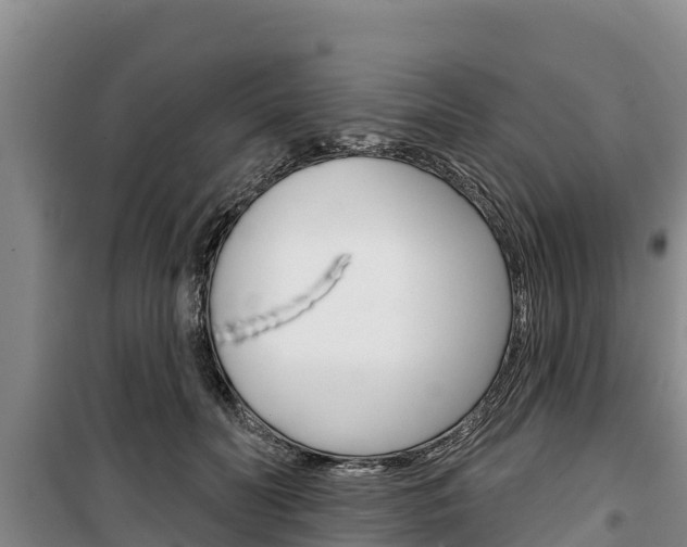 X0000100360606200806060825