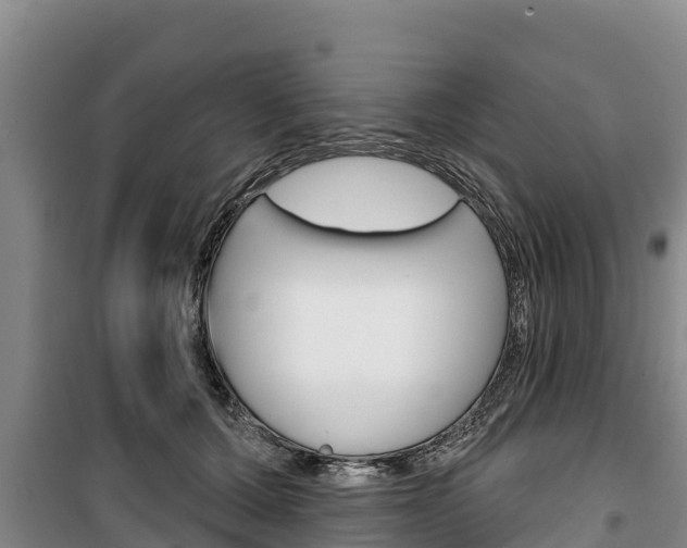 X0000100360607200806060825