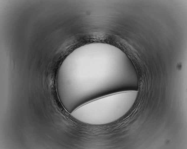 X0000100360608200806060825