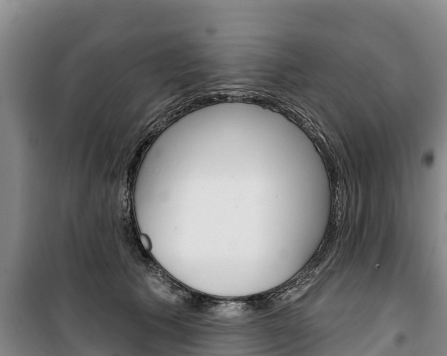 X0000100360609200806060825