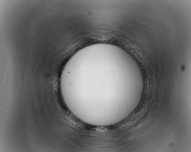 X0000100360612200806060825