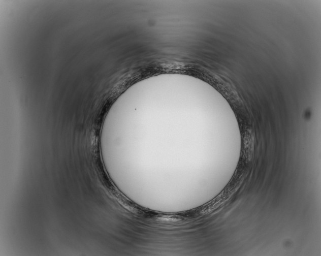 X0000100360614200806060825