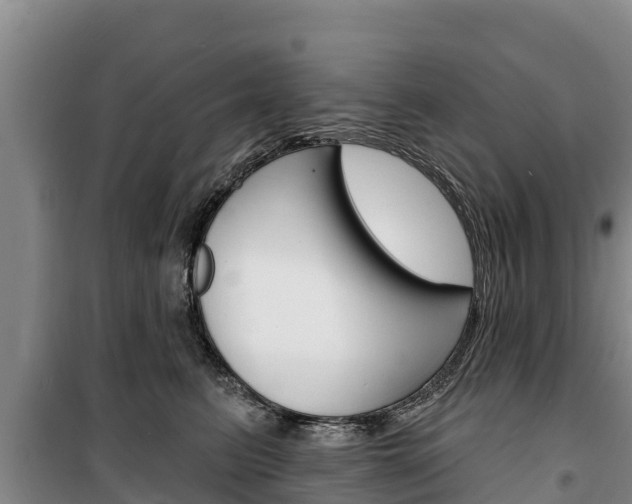 X0000100360615200806060825