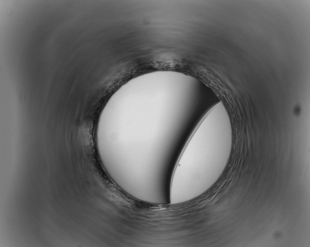 X0000100360616200806060825