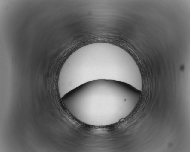 X0000100360617200806060825