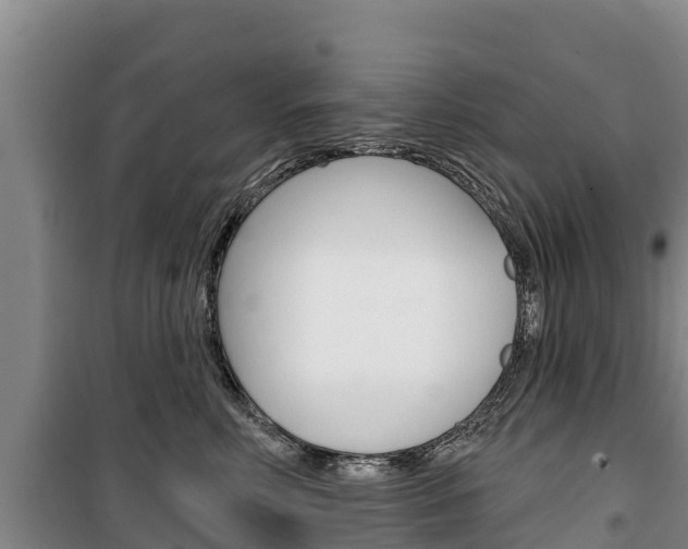 X0000100360618200806060825