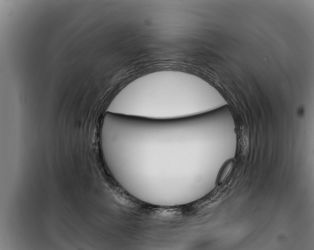 X0000100360619200806060824