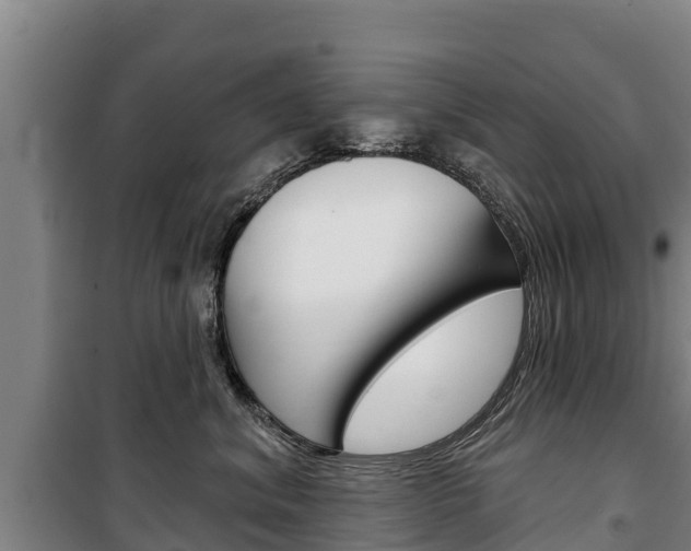 X0000100360620200806060824