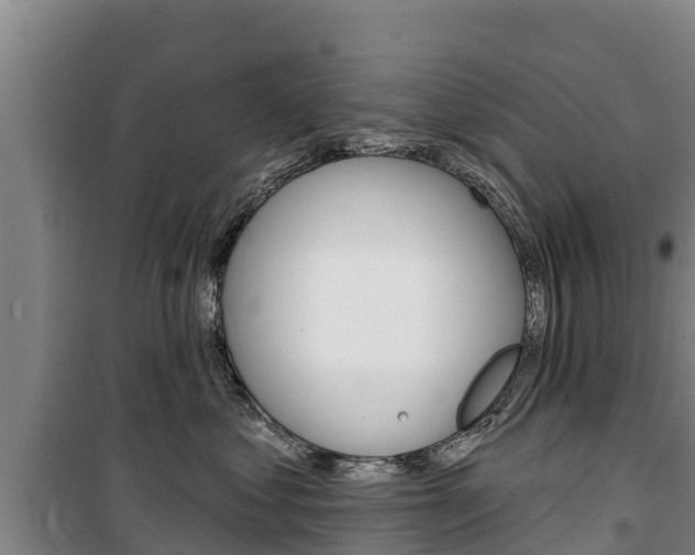 X0000100360621200806060824