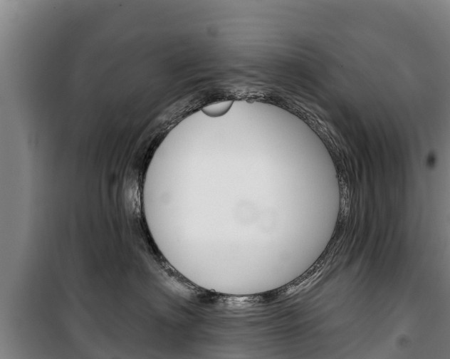 X0000100360622200806060824
