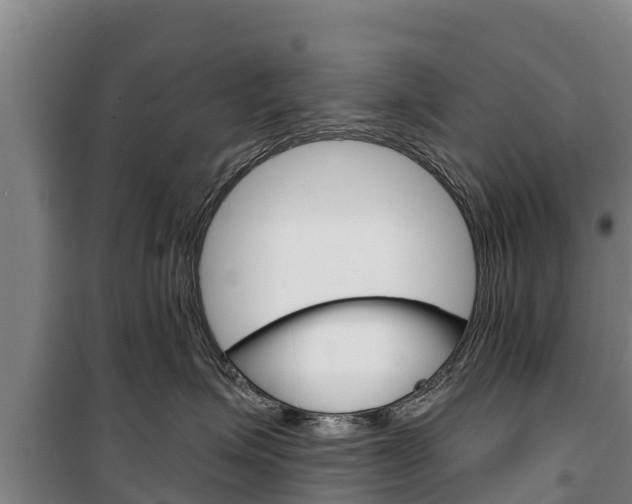 X0000100360623200806060824