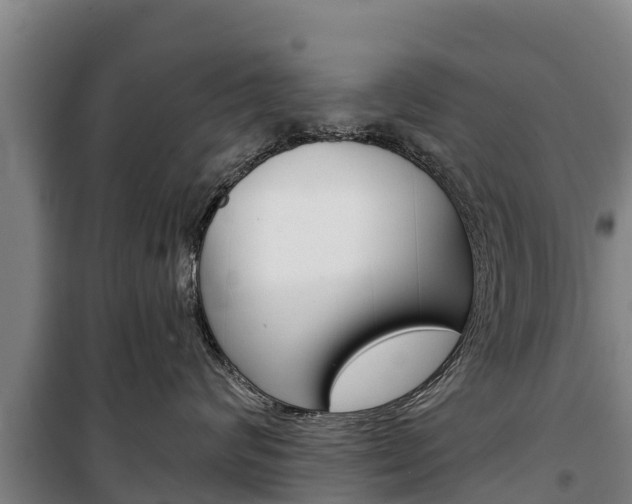 X0000100360624200806060824