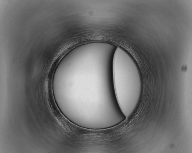 X0000100360626200806060824
