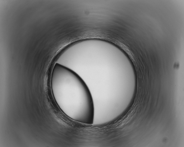 X0000100360627200806060824