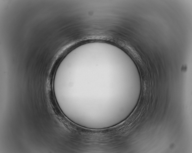 X0000100360628200806060824