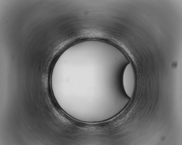 X0000100360629200806060824