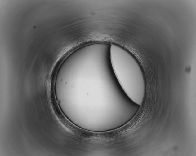 X0000100360630200806060824