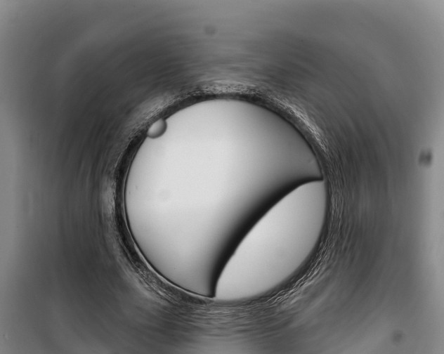 X0000100360631200806060824
