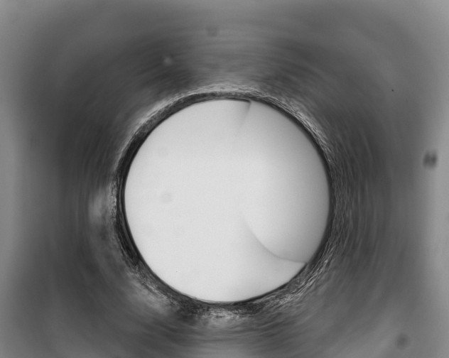 X0000100360632200806060824