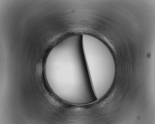 X0000100360637200806060824