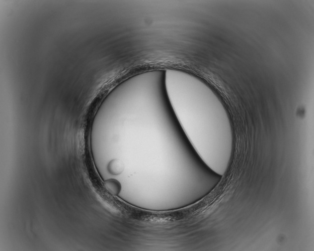 X0000100360638200806060824