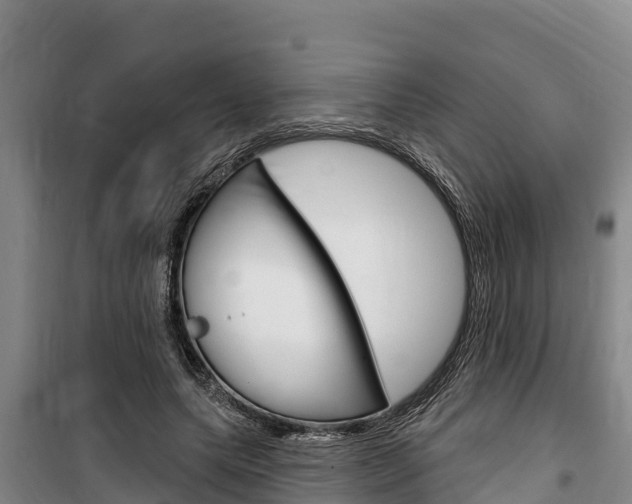X0000100360639200806060824