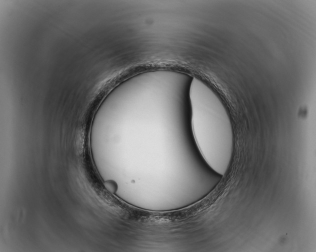 X0000100360640200806060824