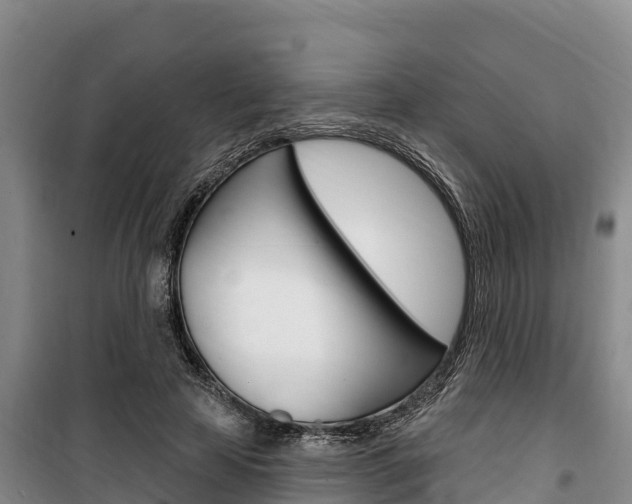 X0000100360641200806060824