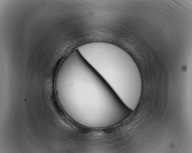 X0000100360642200806060824