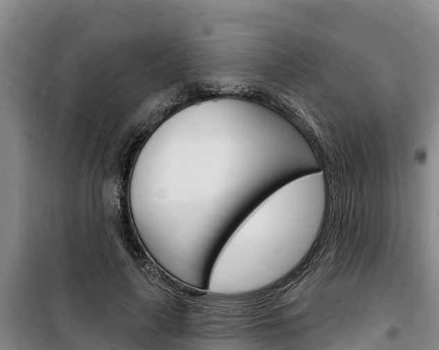X0000100360643200806060824