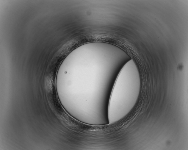 X0000100360644200806060824