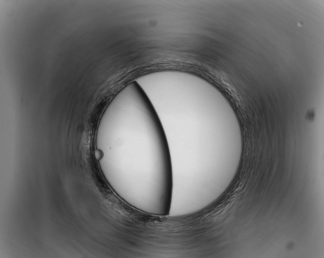 X0000100360645200806060824