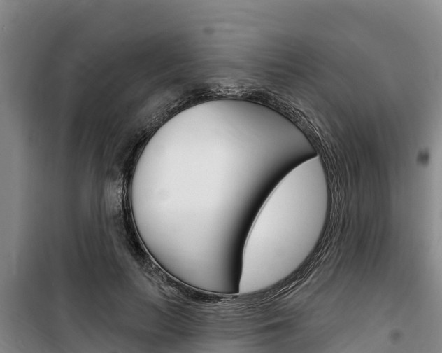 X0000100360647200806060824