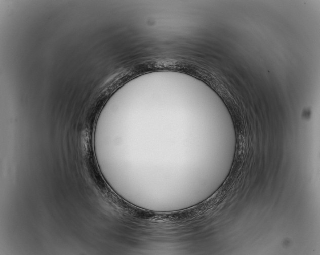 X0000100360648200806060824