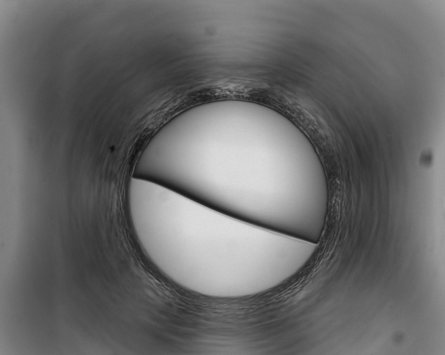 X0000100360649200806060824