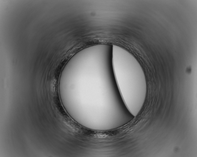 X0000100360650200806060824