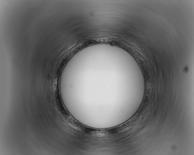 X0000100360652200806060824