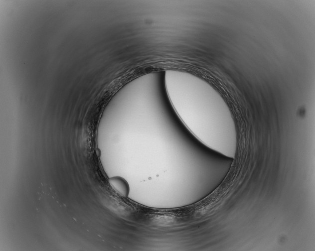 X0000100360653200806060824