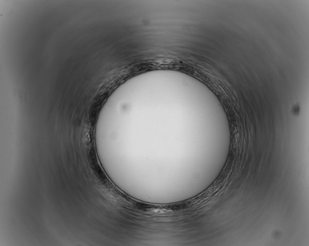 X0000100360654200806060824