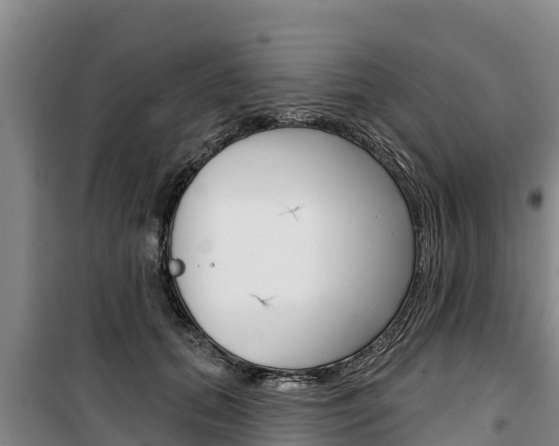 X0000100360655200806060824