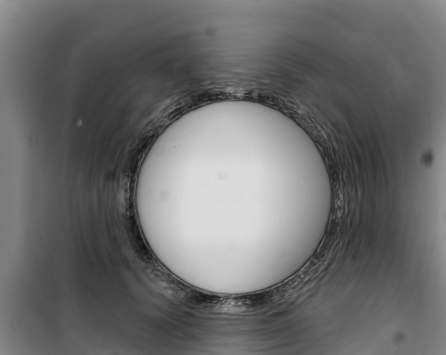 X0000100360656200806060824