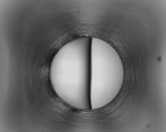 X0000100360657200806060824