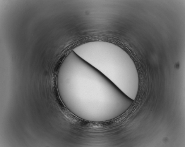 X0000100360658200806060824
