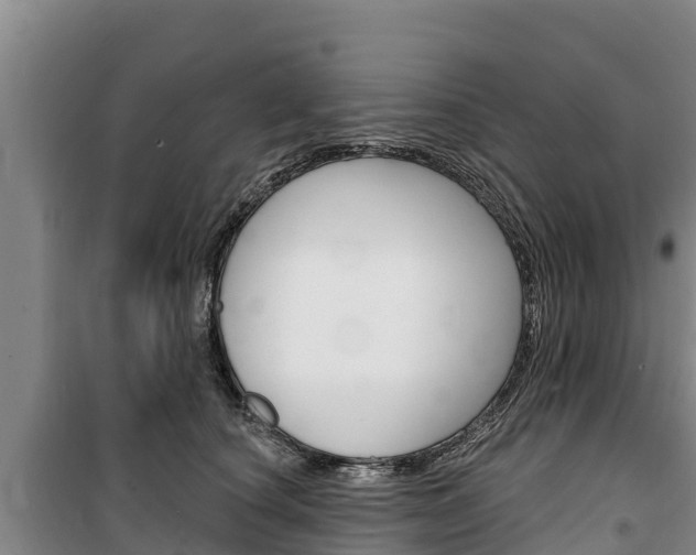 X0000100360660200806060824