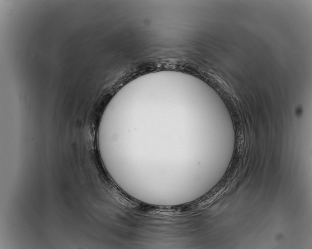 X0000100360661200806060824