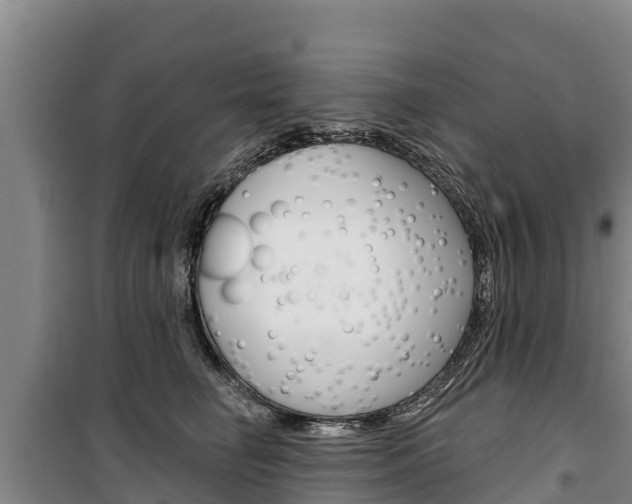 X0000100360662200806060824